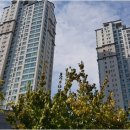 광교갤럭시공인중개사사무소 | 광교 갤럭시 공인중개사와 함께하는 편안한 부동산 거래 경험