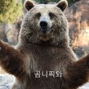 굿즈소리 이미지