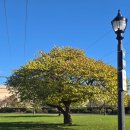 동부세탁 | 미 동부 캐나다 10일 하나투어 여행후기 - 4일차