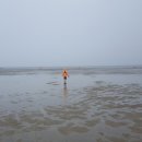 딱정벌레펜션 이미지