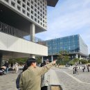 오리와생태의만남 | 대전 벚꽃 명소 KAIST 카이스트 본원, 목련과 벚꽃의 하모니! 이번 주말 봄나들이 강력 추천