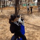 호정숲속어린이집 이미지