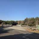 세화보건진료소 네이버블로그