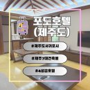 포도가 있는 풍경 | 제주 7대 건축물로 선정된 고품격 부띠끄 호텔 | 제주 서귀포시 '핀크스 포도호텔' 내돈내산