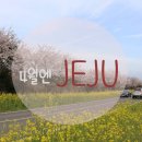 케익하우스리치