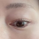 다산 버스정류장 | 다산속눈썹펌 잘하는 곳 “보떼브로우 방문 후기” 다산동속눈썹연장 &amp; 속눈썹펌