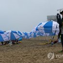 경포12호