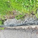 담양참사랑병원 이미지