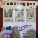 고양이 기숙사 | 인천 영흥도 가볼만한곳 추천｜고양이역 카페 후기 유기묘 보호소 힐링 여행지