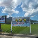 삼락정 | 전남 물썰매장 영암 삼락정랜드 다녀온 후기 (취사가능수영장, 광주근교물놀이)