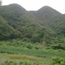 황룡농장 이미지