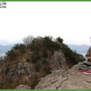 서학사 Daum카페