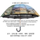 인천 검단신도시, '스마트시티'로 만든다ᆢ 마전ㆍ당하ㆍ원당ㆍ불로동 일원ᆢ 8000가구 아파트 공급 예정ᆢ 4차산업혁명 이끌 산단 조성ᆢ 이미지