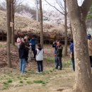 나무고아원 이미지