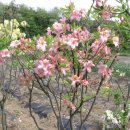 부리농장 이미지