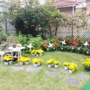 별밭어린이집 이미지