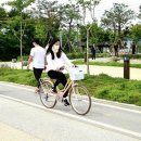 초록길자전거센터 이미지