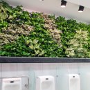 시청1층 화장실 이미지