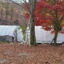 옥정산닭 이미지