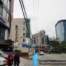 닥터스윌리