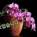 화요일