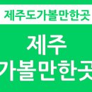 제주마꼬또 이미지