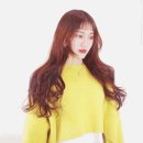 헤어벨 이미지