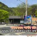 청정계곡뷰와 개별 편의시설까지 완벽! 거창한밤캠핑장 여름캠핑 힐링