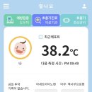 수포차 이미지