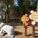 현충원 산책길 이미지