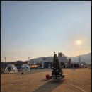 하이멍 | 부산애견카페 하이멍 다녀온 솔직 후기 강아지와 힐링 시간