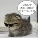 쿠히치연남점