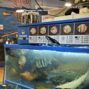 대해수산 이미지