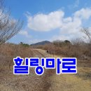 카페백서향 이미지