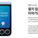 플립
