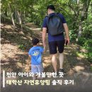 천안 아이와 가볼 만한 곳, 태학산 자연휴양림 후기