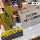 세븐일레븐진주혁신허브점 | [GNU RISE 사업단 서포터즈] 경남글로벌혁신페스타 GNEX 참여 후기