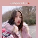 분홍소리