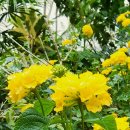 정인세탁 이미지