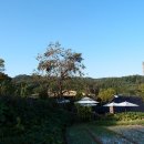 영화마을 이미지