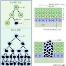 (소비자 3조) 제 1장 병원관리의 기초 조별 사례연구 그룹별 레포트 (5,6번), 한국의 대표적 상급종합병원 이미지