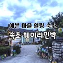 소나무집민박 | 강원도 속초 민박집 이용 후기 속초훼미리민박