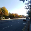 (버스)라온중고등학교 이미지