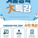 뉴스타피아
