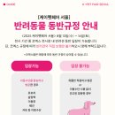펫코디 | 2025 케이펫페어 서울 코엑스 후기 / 고양이 집사가 가본 케이펫페어