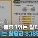 (주)서울동물병원 이미지