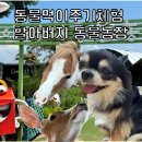 삼복농장 | 경기도 화성 궁평항 근처 가볼만한 곳 할아버지 동물농장