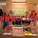 (주)강남투어 - 경주시 | (주)강남투어