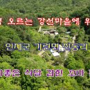 곰배령식당 이미지