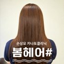 현대전문카클리닉 | 공덕역 가성비 미용실 봄헤어샾 손상모 카나토클리닉 후기